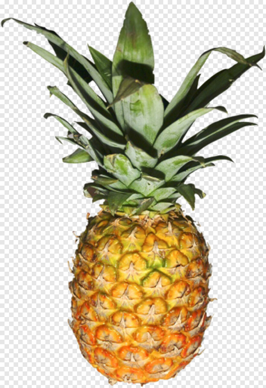 pineapple # 654211