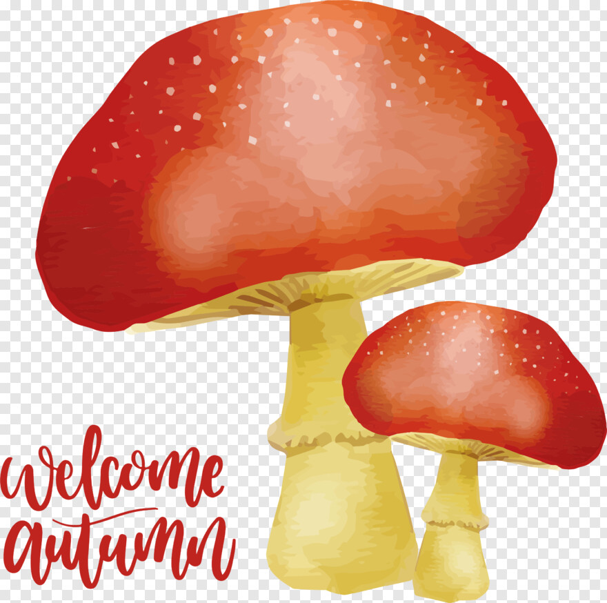 mushroom # 441984