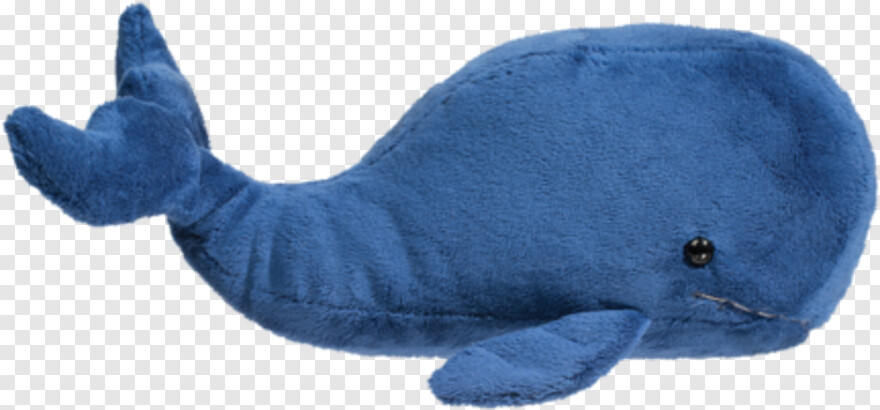 blue-whale # 680761