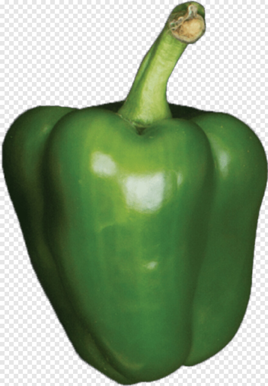 bell-pepper # 375691