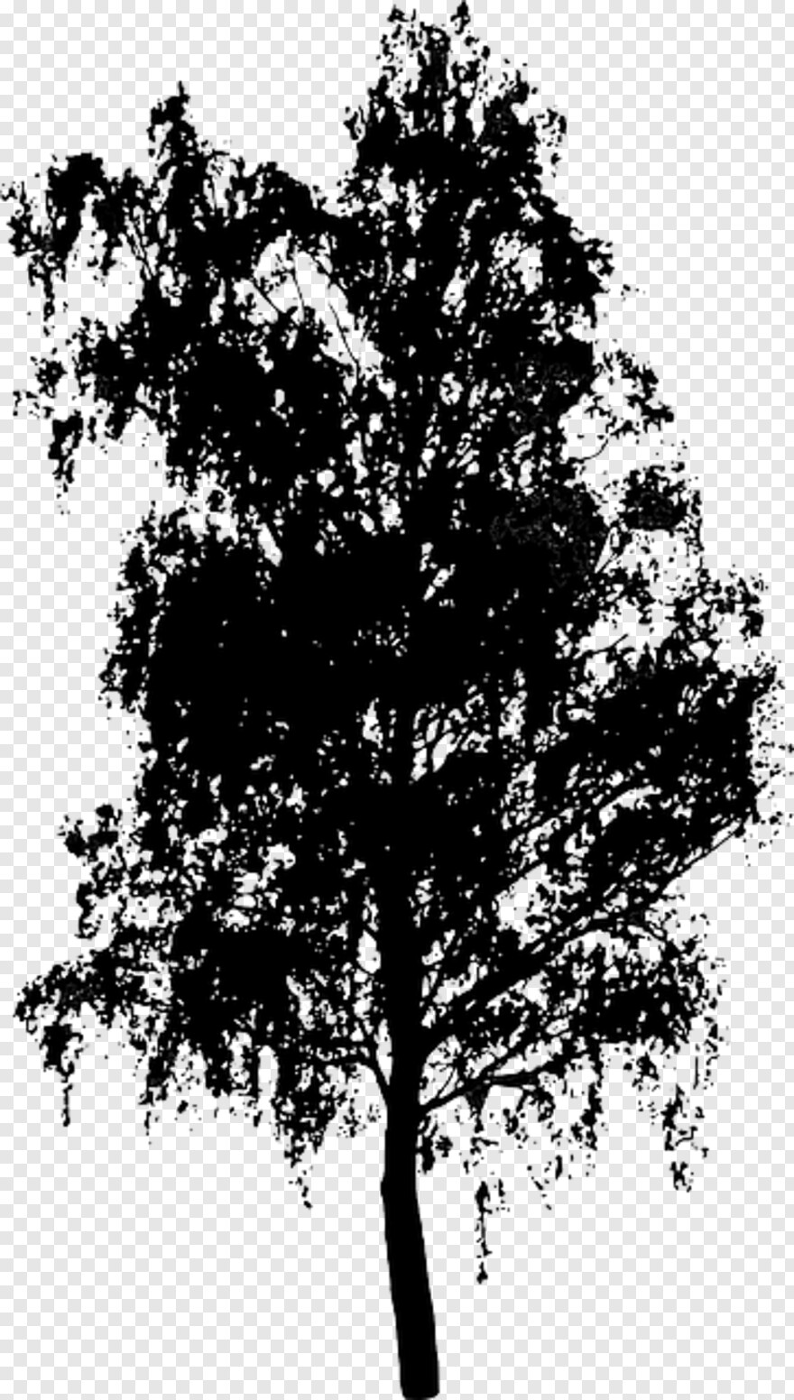 tree-trunk # 459314