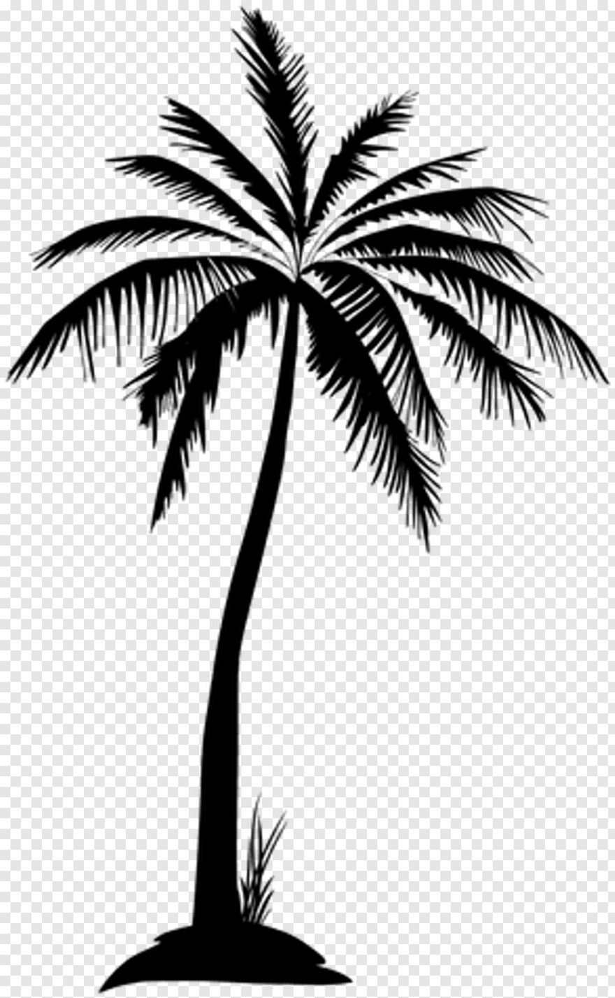 palm-tree-leaves # 459302
