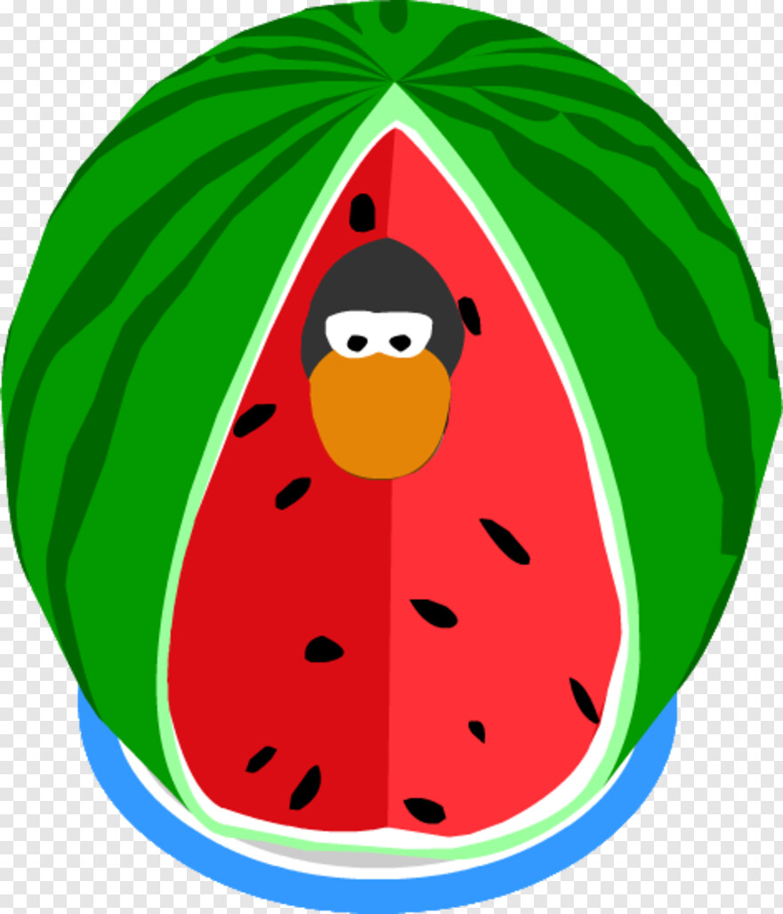 watermelon # 993628