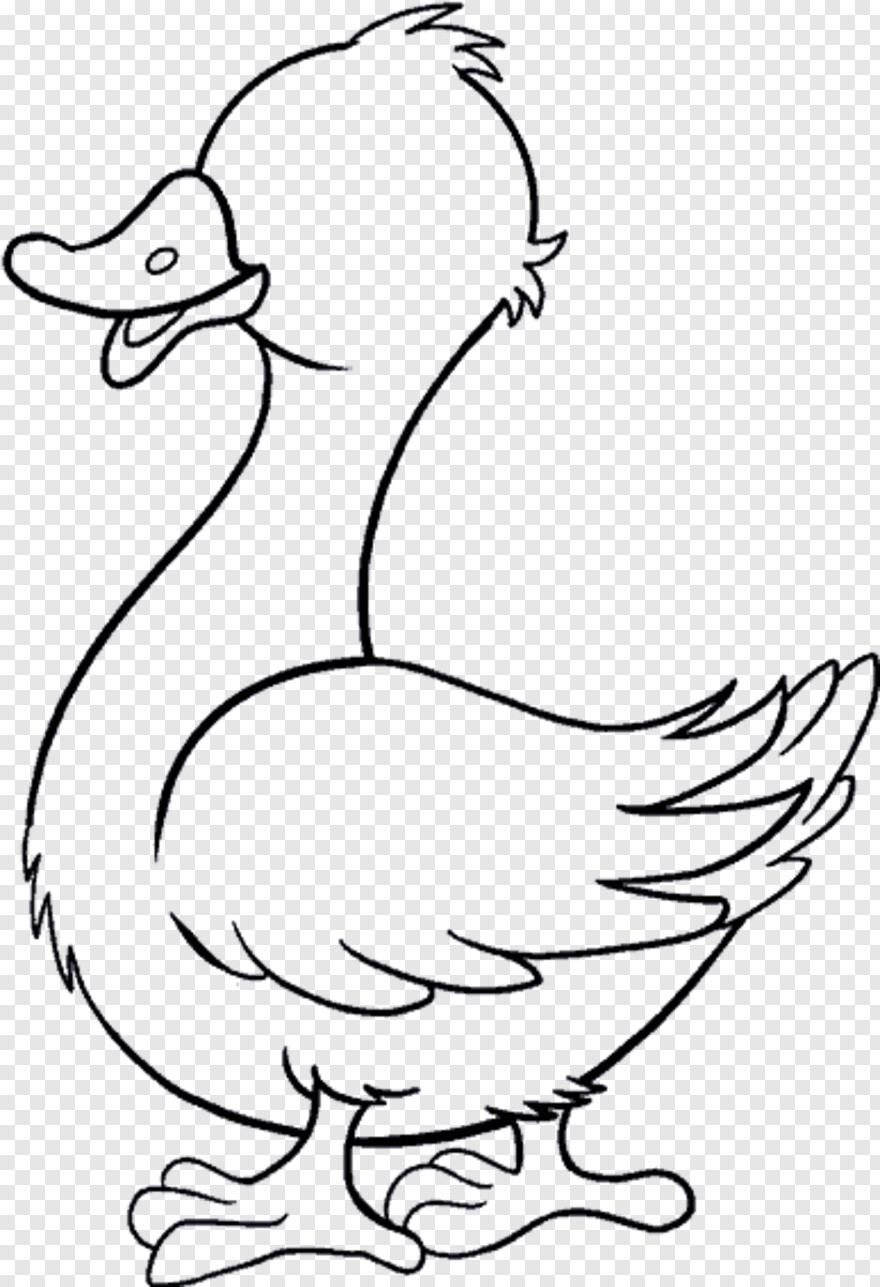 daffy-duck # 1059634