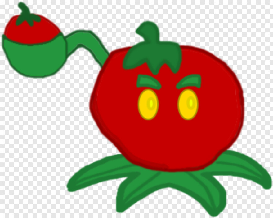 tomato # 652000