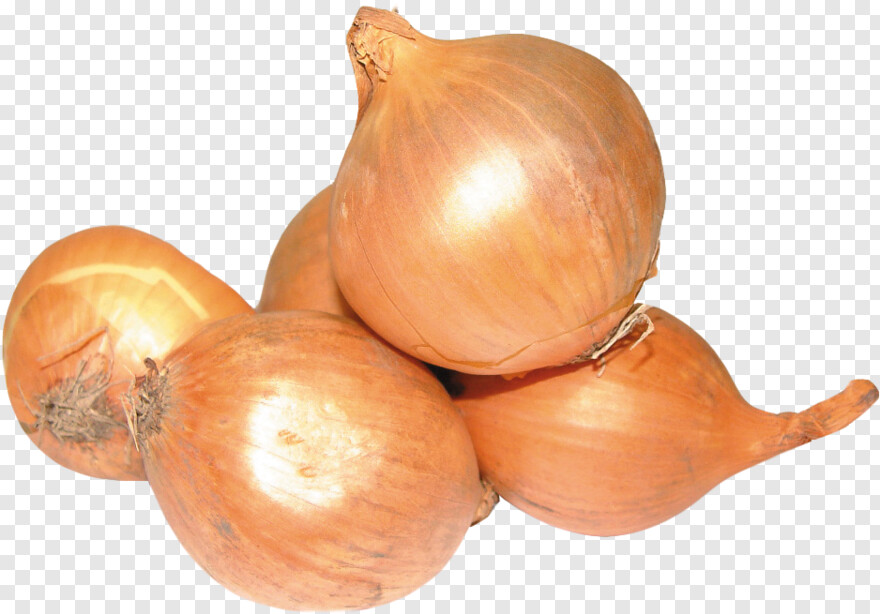 onion # 670349