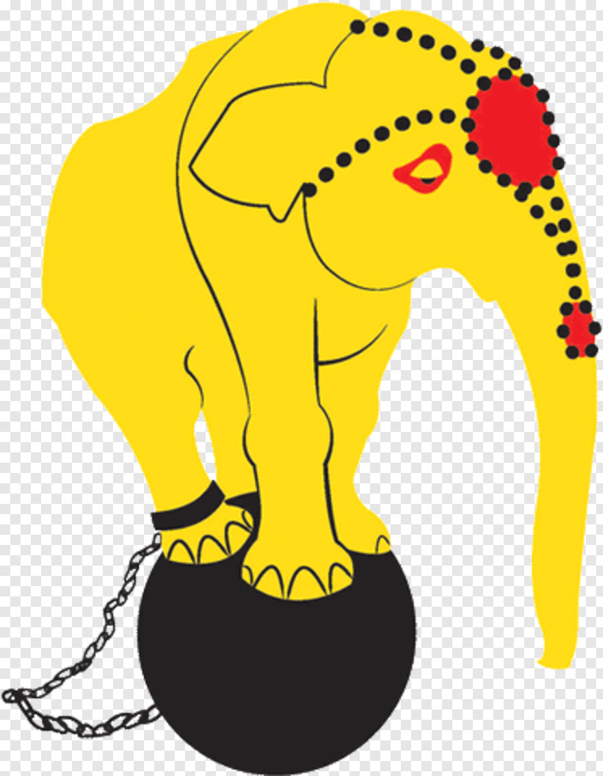 elephant # 1010255