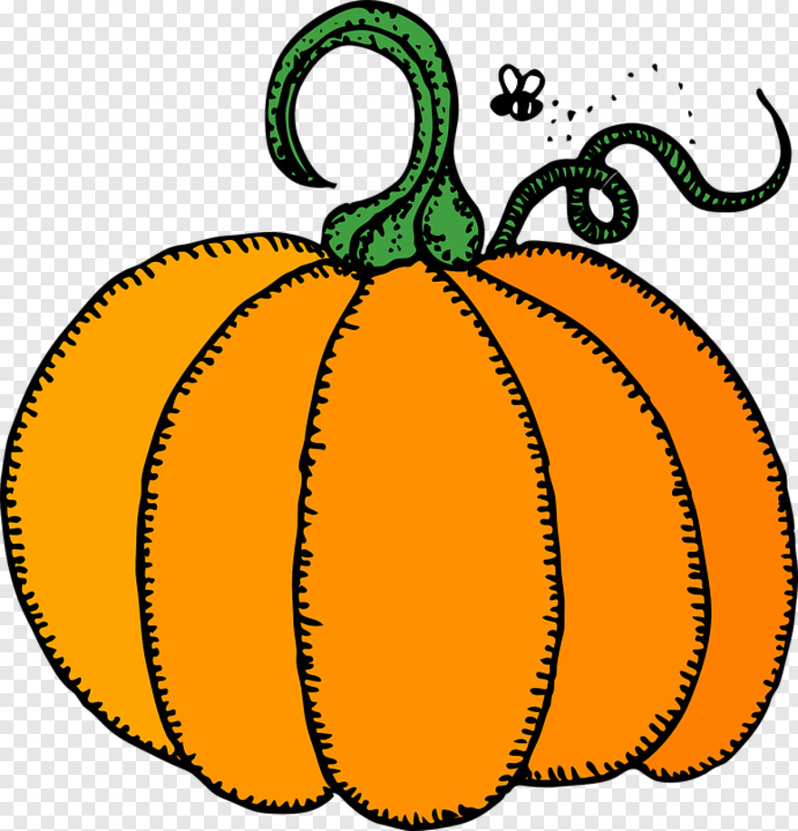 pumpkin # 809890