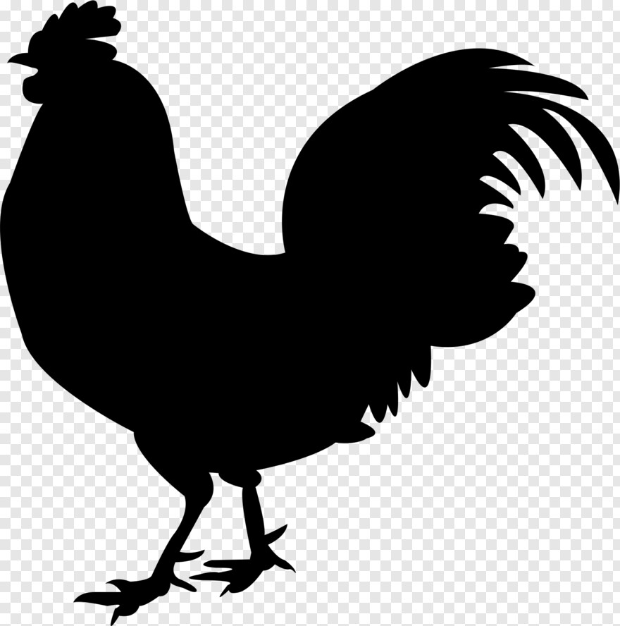 rooster # 1025756