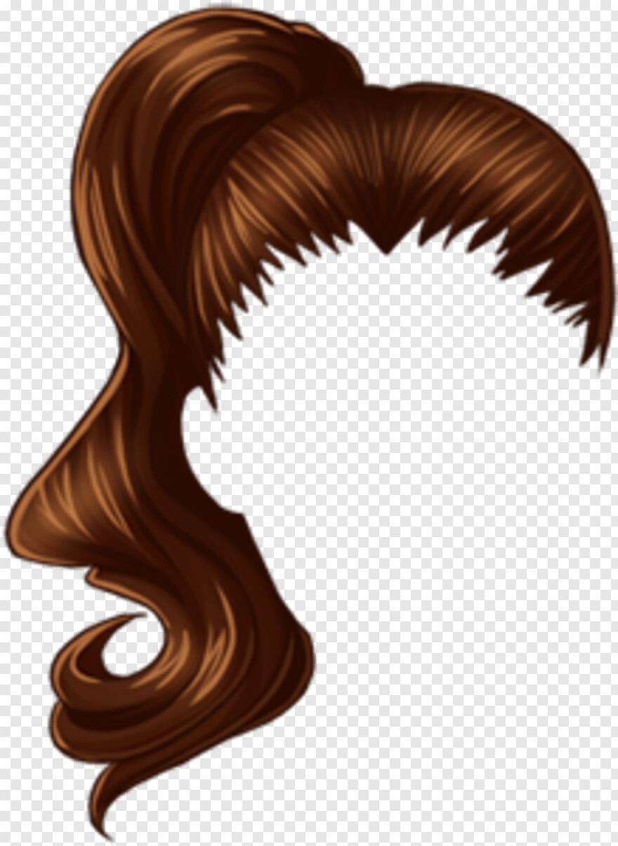 ponytail # 419518