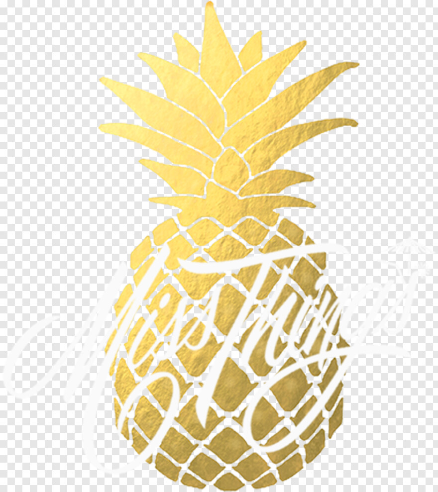 pineapple # 814039