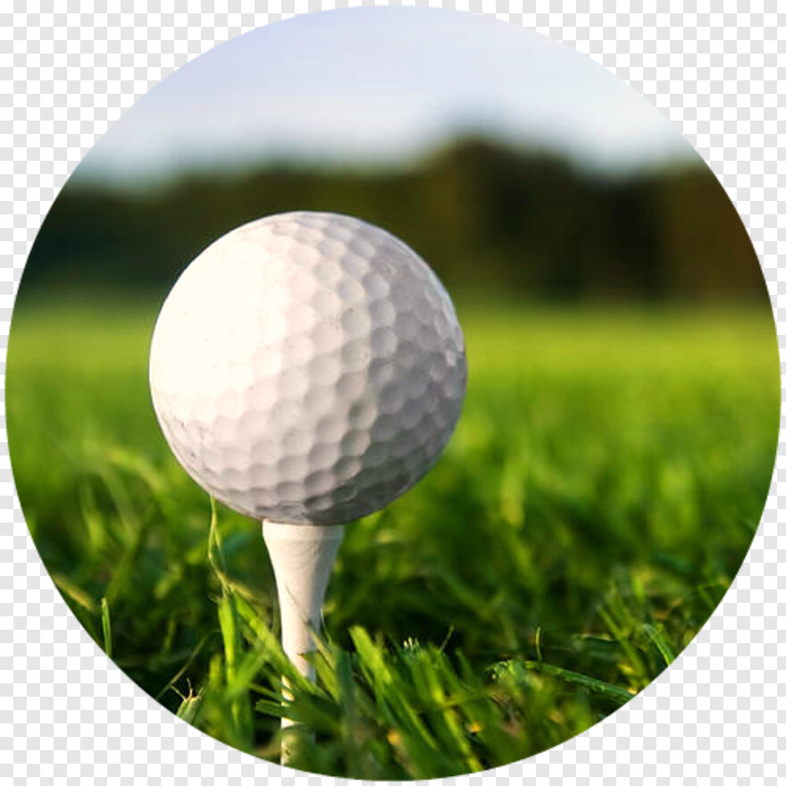 golf-ball # 417831