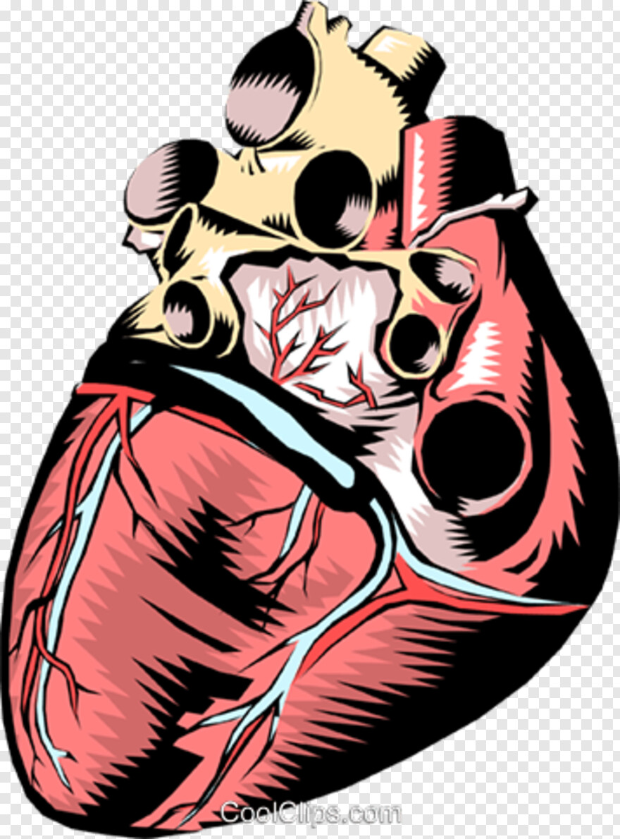 human-heart # 1064434