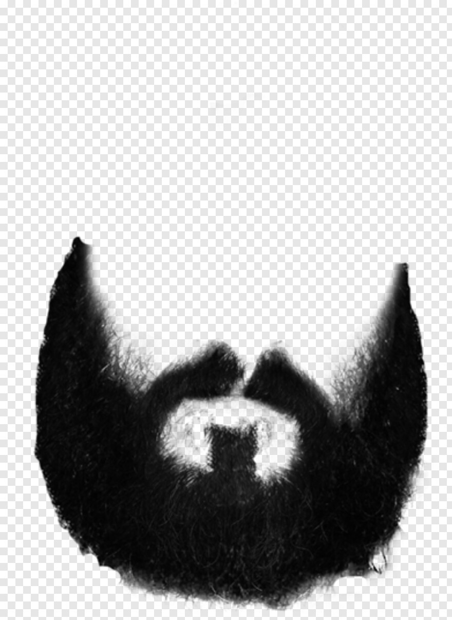 beard # 494965
