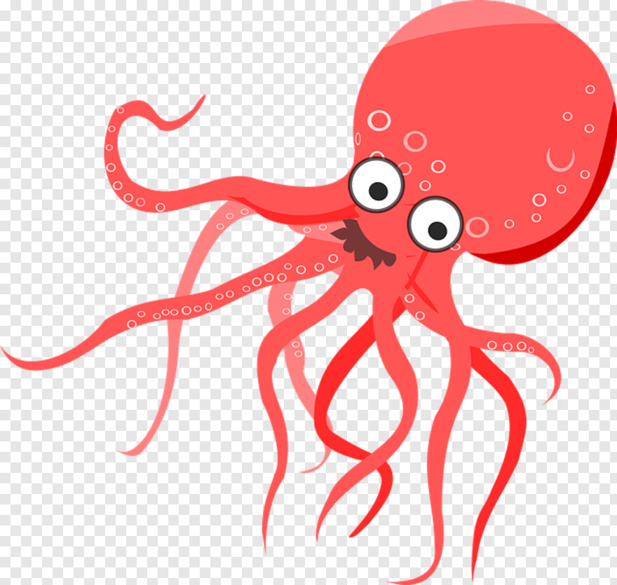 octopus # 530827