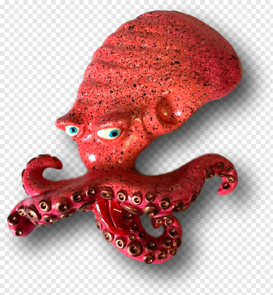 octopus # 671830