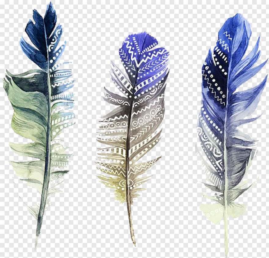 feather-silhouette # 842602