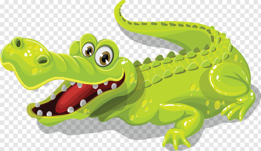 alligator # 538164