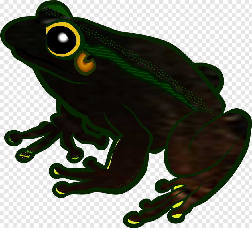 frog # 1004088