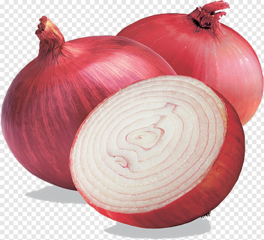 onion # 670335