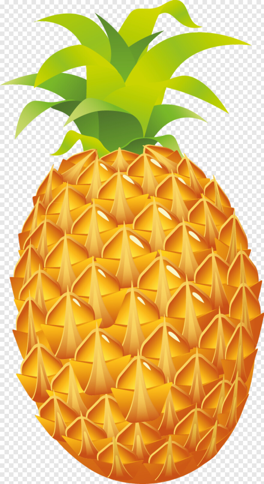 pineapple # 1000185