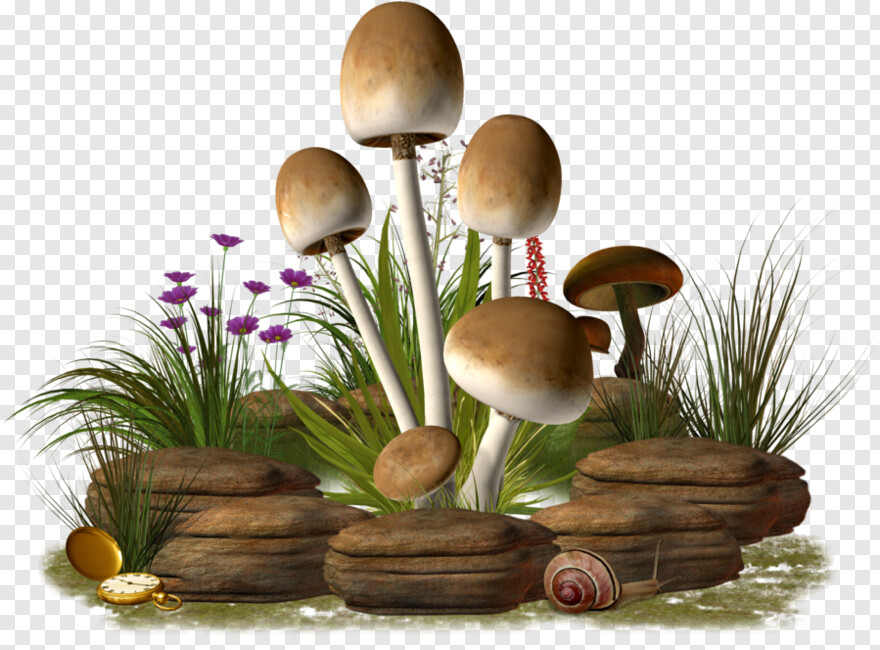 mushroom # 683464