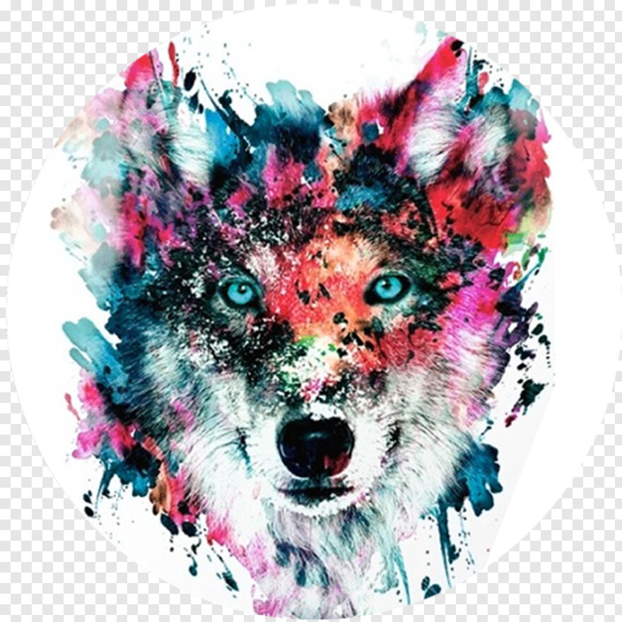 wolf # 589329