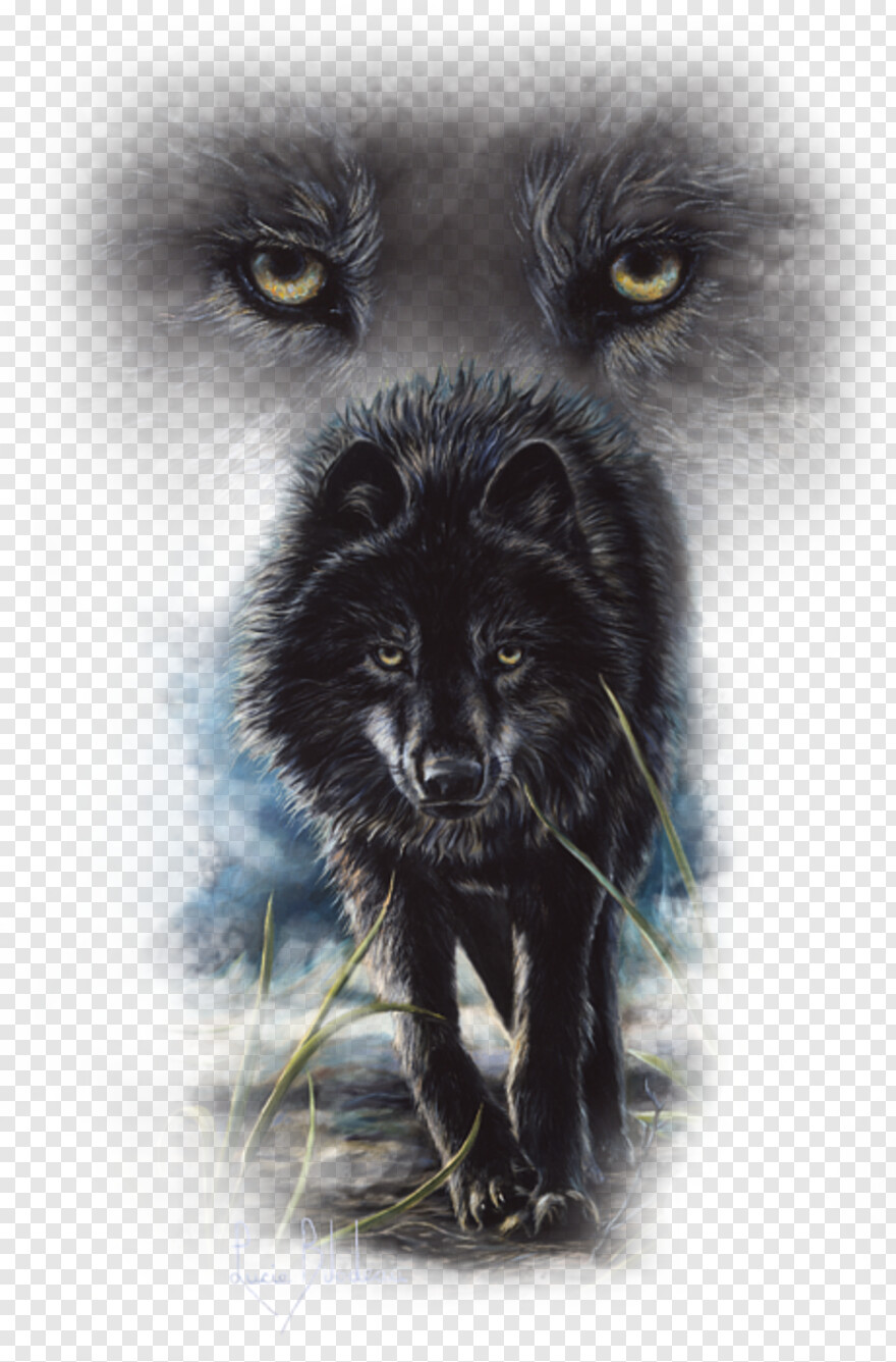 black-wolf # 489647