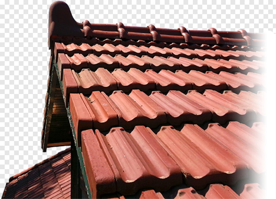 roof # 1005043