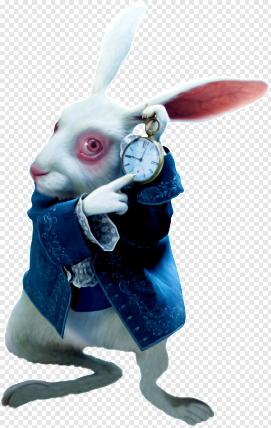 rabbit # 542910