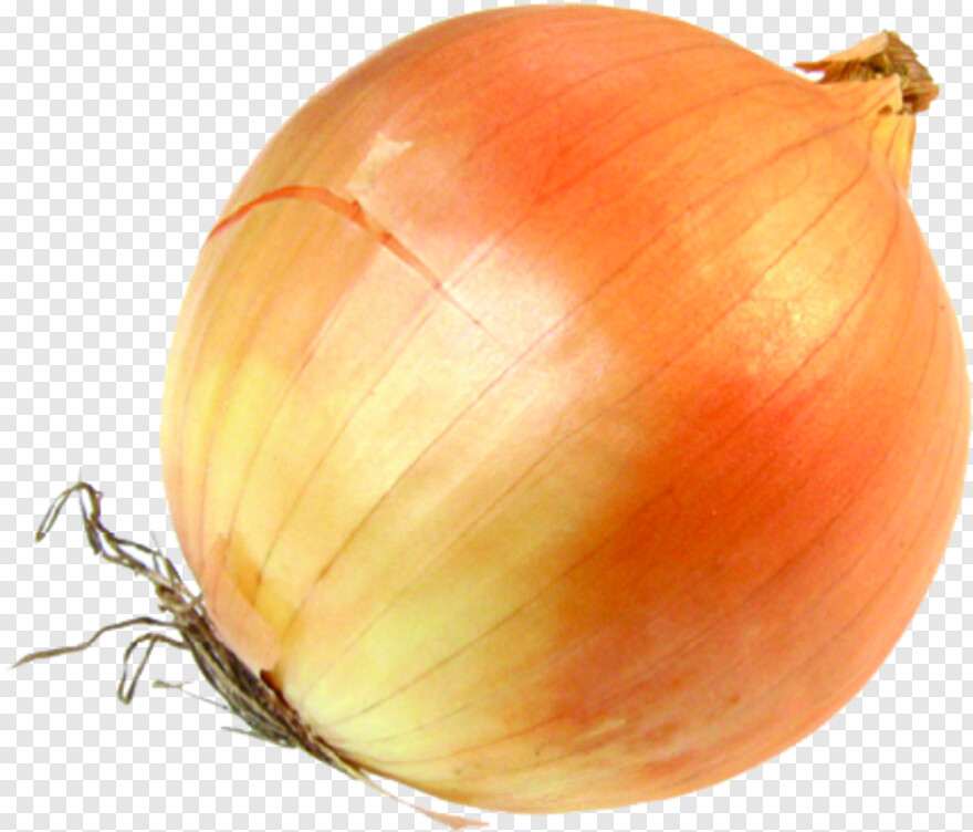 onion # 670341
