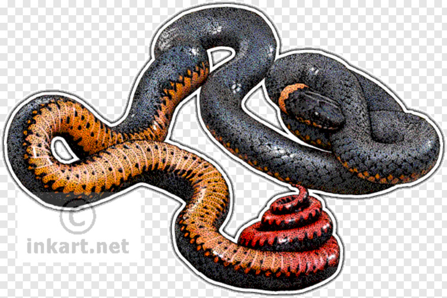 black-snake # 350209