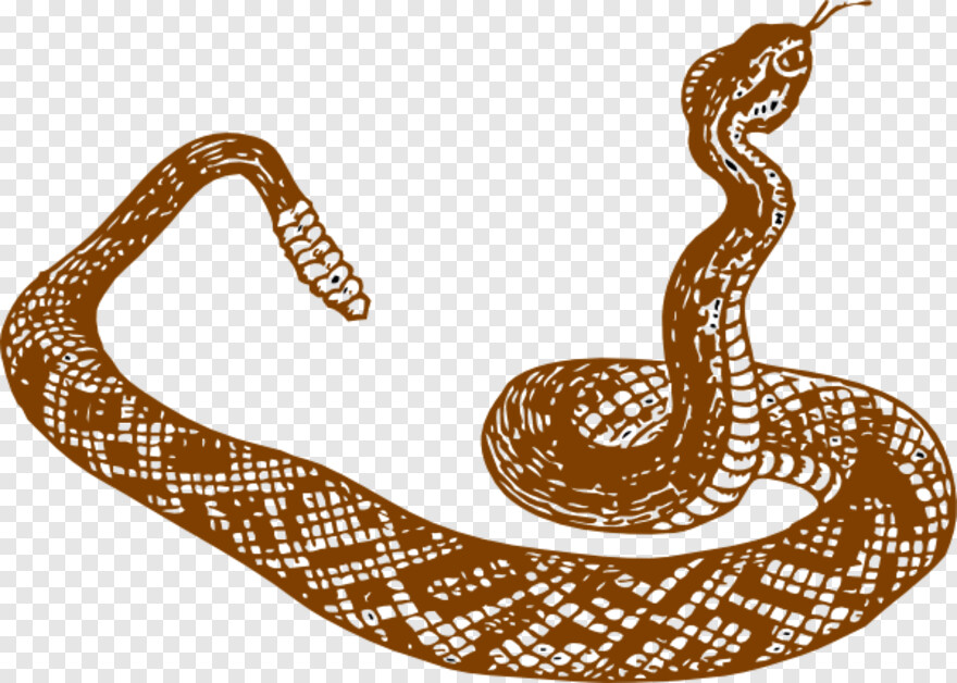 gucci-snake # 617479