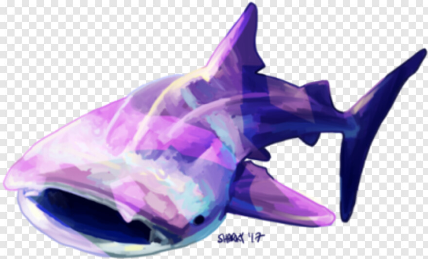 whale-shark # 892796