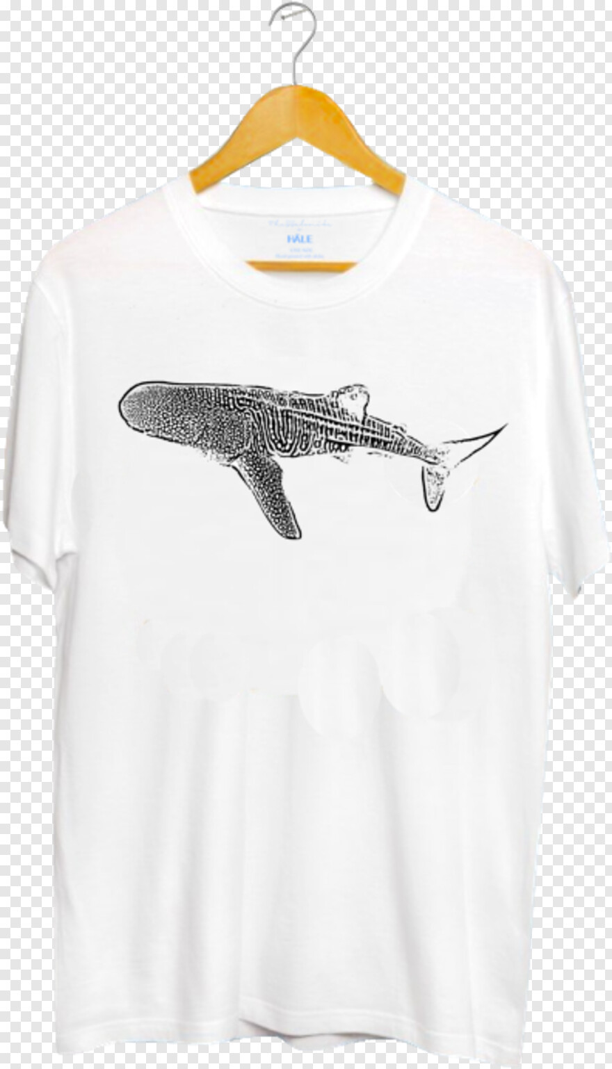 whale-shark # 539738