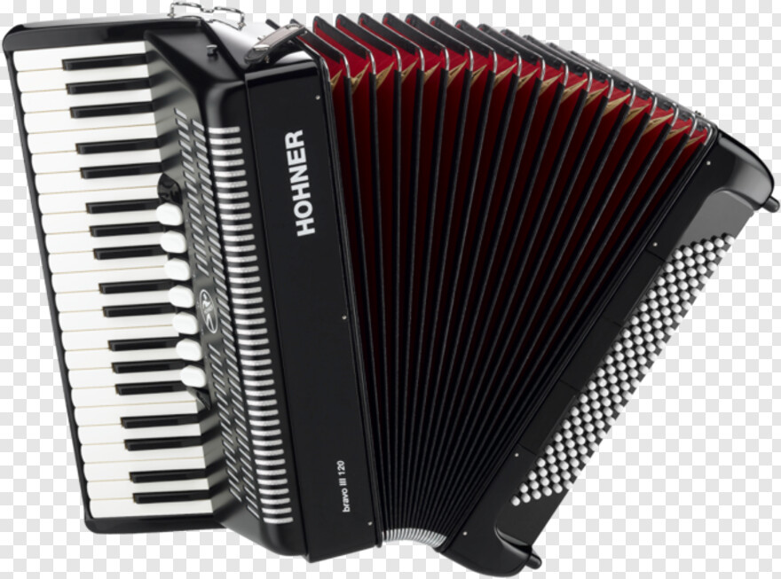 accordion # 577597