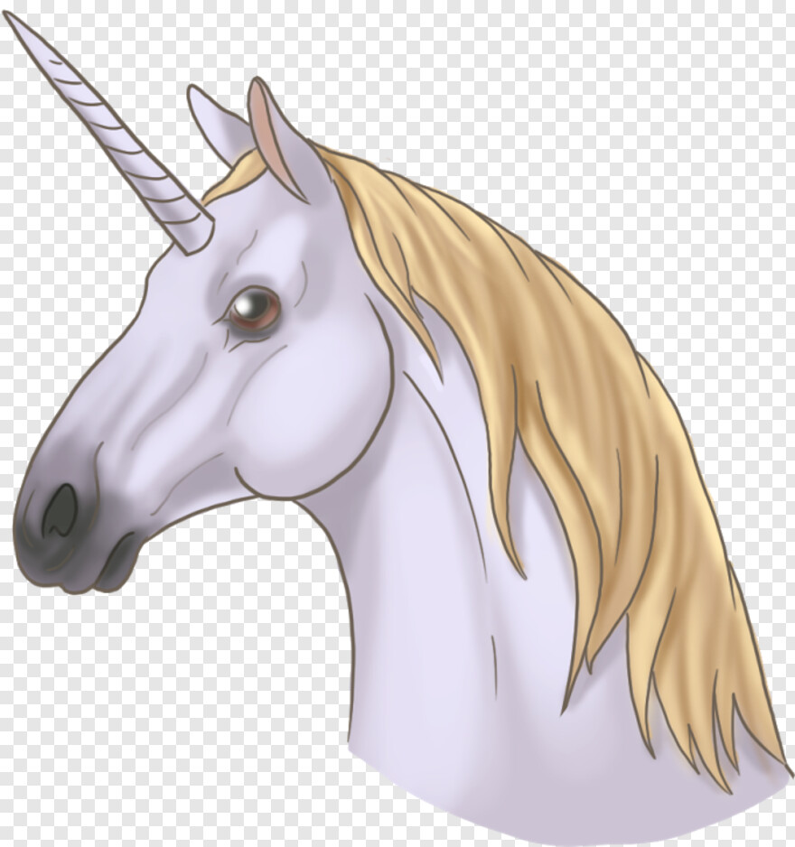 unicorn # 596430
