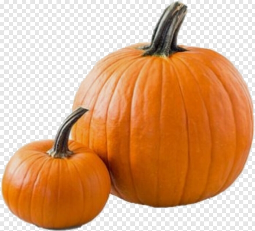 pumpkin # 843301