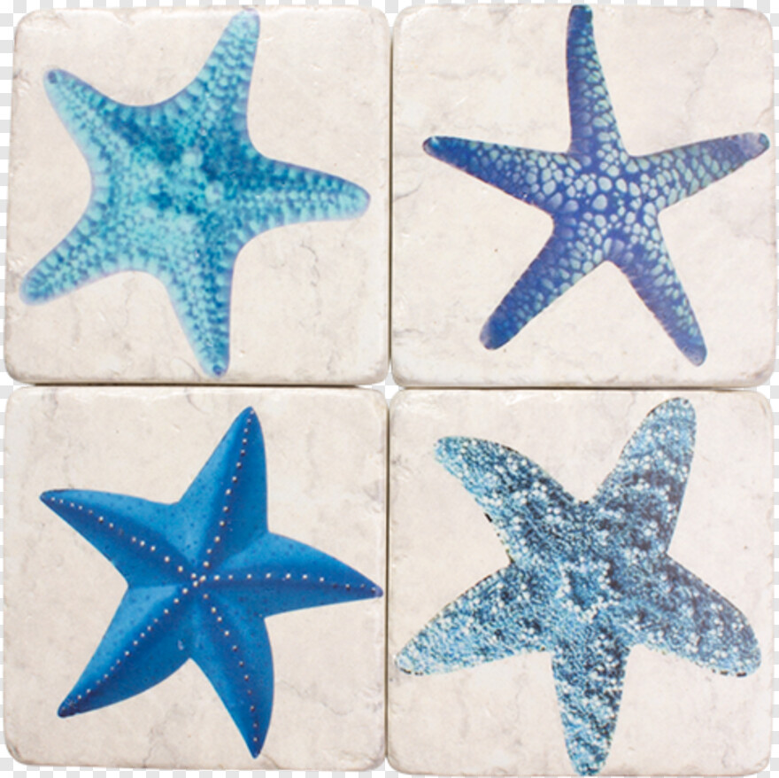 starfish # 612004