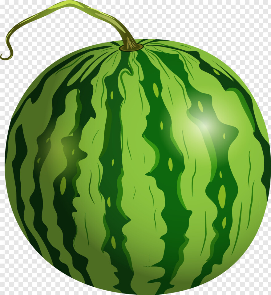 watermelon # 591909