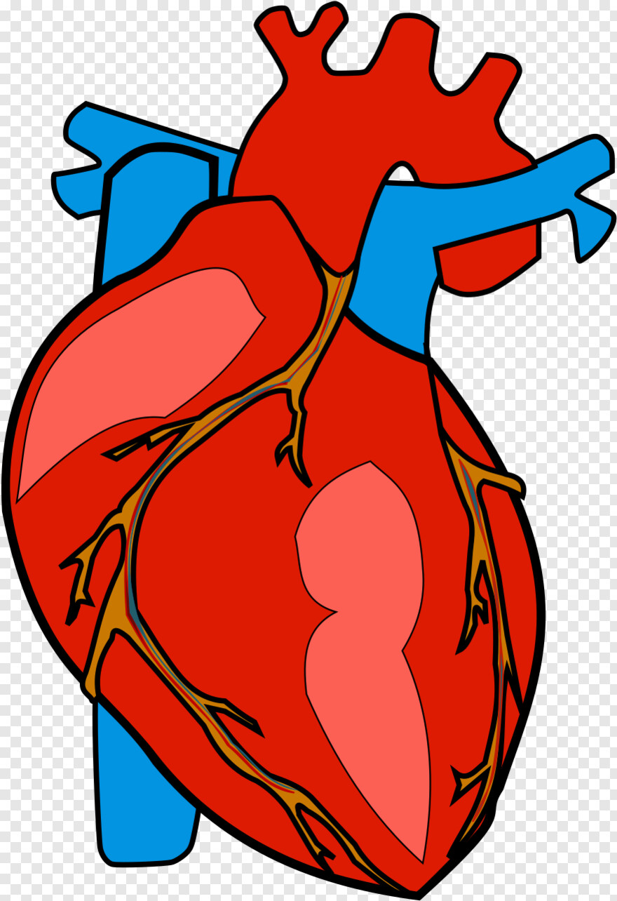 human-heart # 519943
