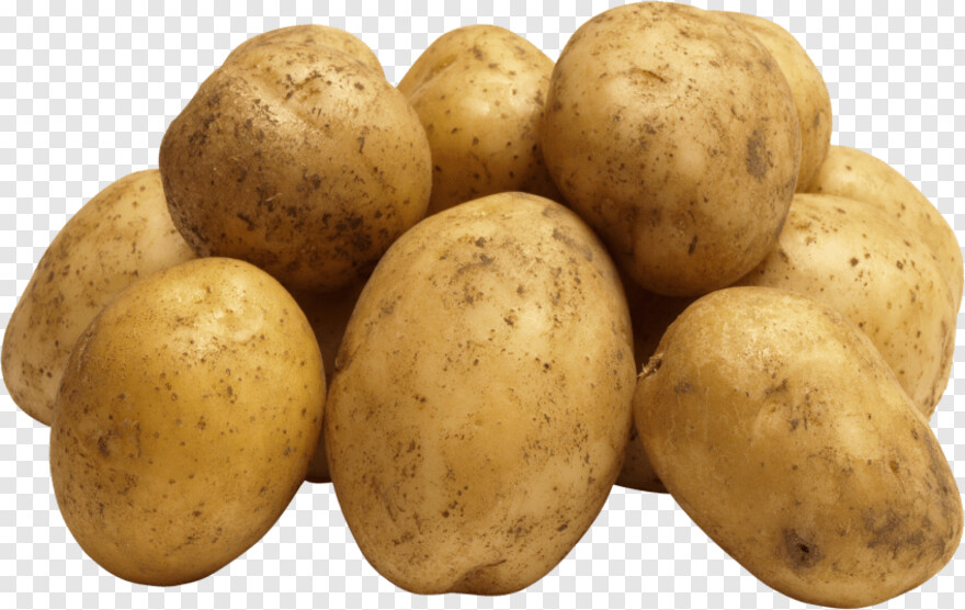 potato # 645774