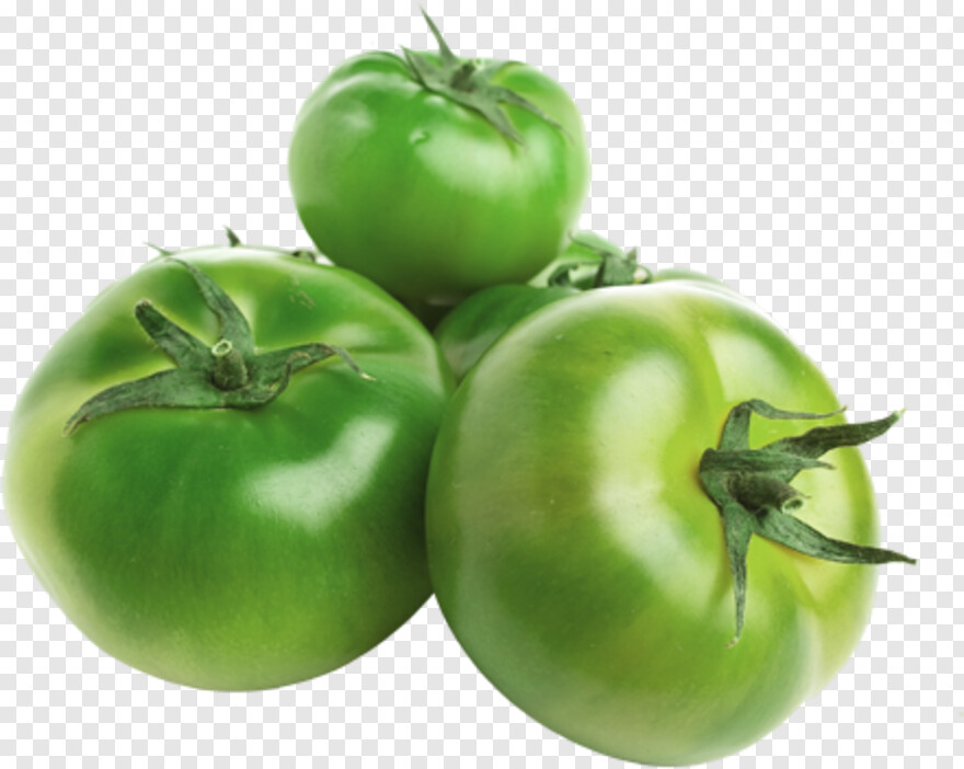 tomato # 601356