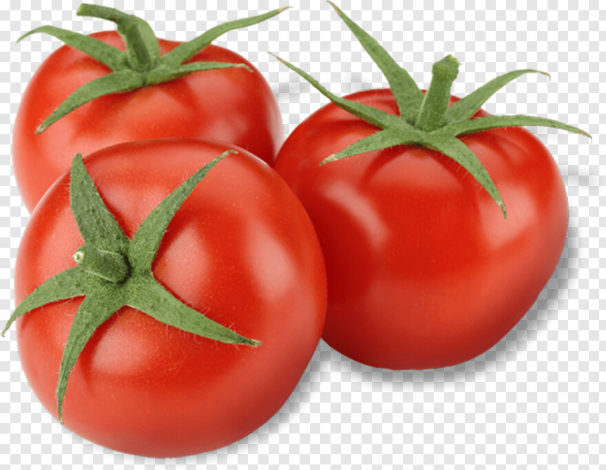 tomato # 650436