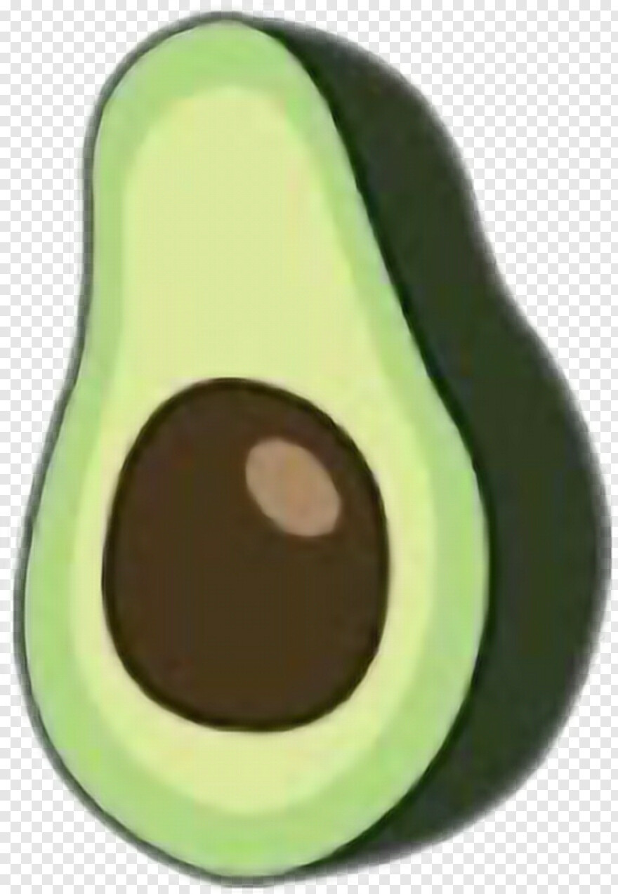 avocado # 583036