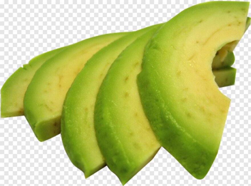avocado # 440228