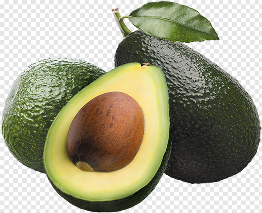 avocado # 440234