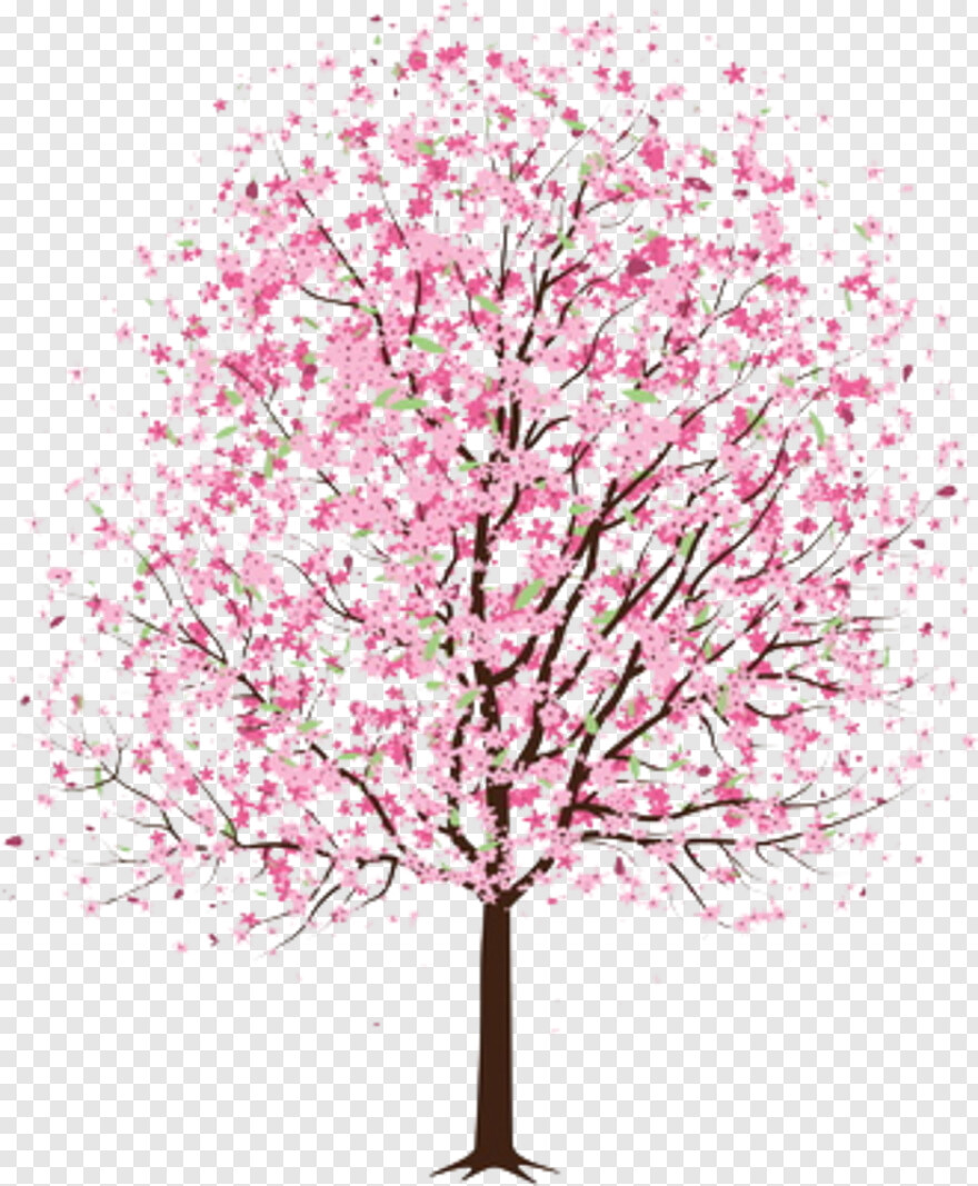 cherry-blossom # 461616