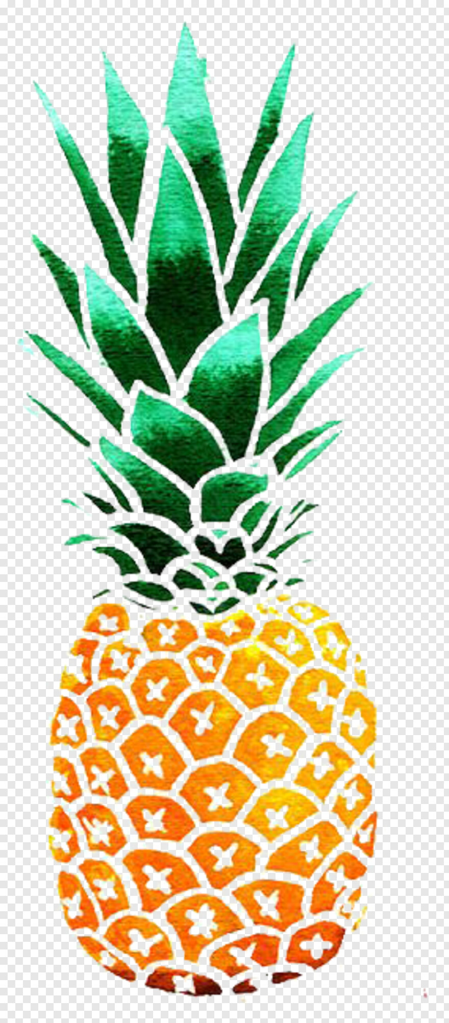 pineapple # 1058972