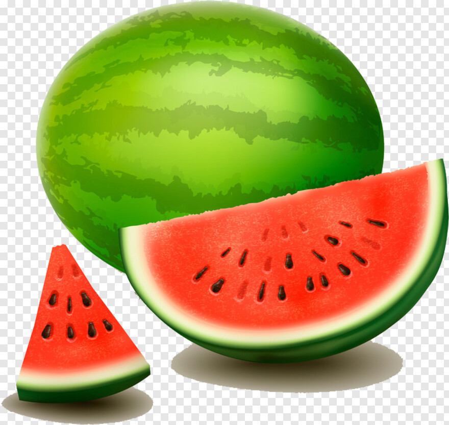 water-melon # 372002
